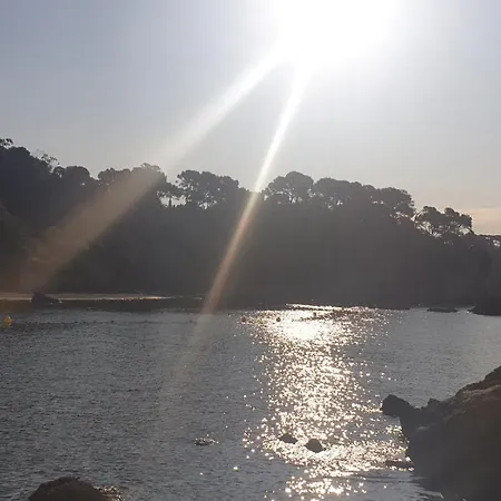 Les Sables D'Or Toulon Mourillon Alojamento de Acomodação e Pequeno-almoço